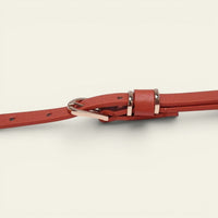 La Ceinture Pour Femme Colombe - Ceinture très fine à boucle dorée